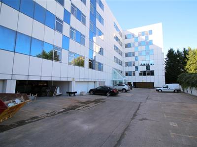 Picture 7